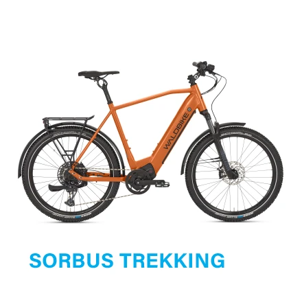 Kalbacher Waldbike Sorbus