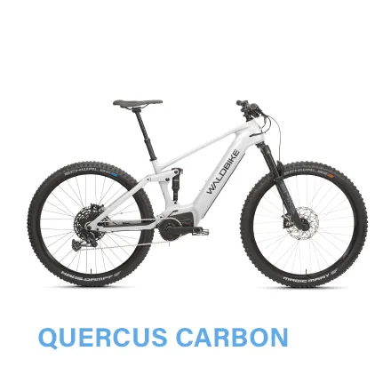 Kalbacher Waldbike Quercus