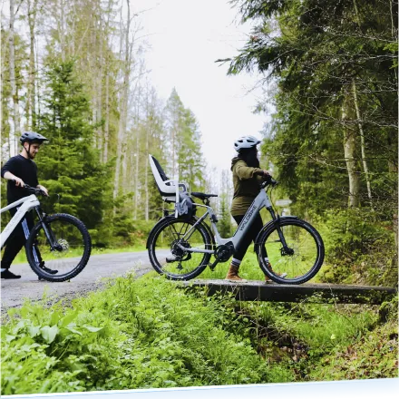 Waldbike E-Bike kaufen im Kalbacher Onlineshop